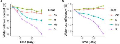 Effects of Arbuscular Mycorrhizal Fungi on Watermelon Growth, Elemental Uptake, Antioxidant, and Photosystem II Activities and Stress-Response Gene Expressions Under Salinity-Alkalinity Stresses